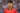 Son Heung-min wearing a red South Korean football jersey, standing on the field with a focused expression and a blurred stadium background.