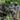 2 Soldiers Martyred in Terrorist